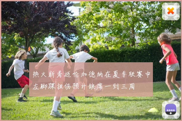 热火新秀迈伦加德纳在夏季联赛中左脚踝扭伤预计缺席一到三周