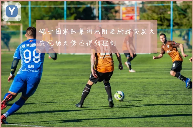 瑞士国家队集训地附近树林突发火灾现场火势已得到控制
